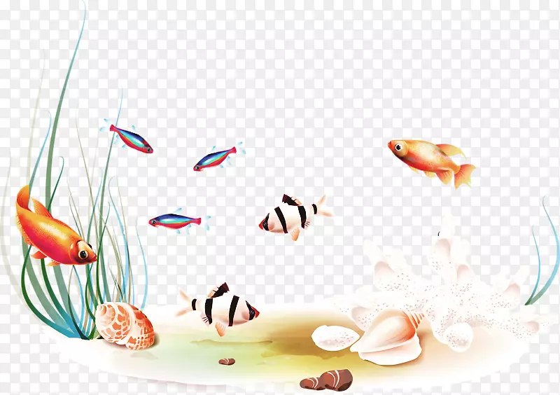 鱼类剪贴画-一组鱼游泳