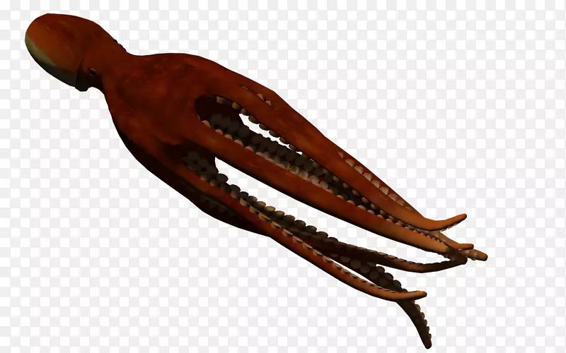 章鱼动画三维计算机图形.鱼3D