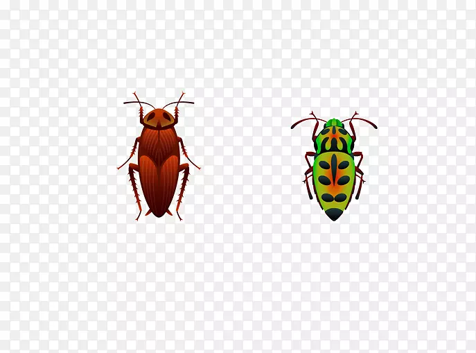 昆虫计算机文件-昆虫