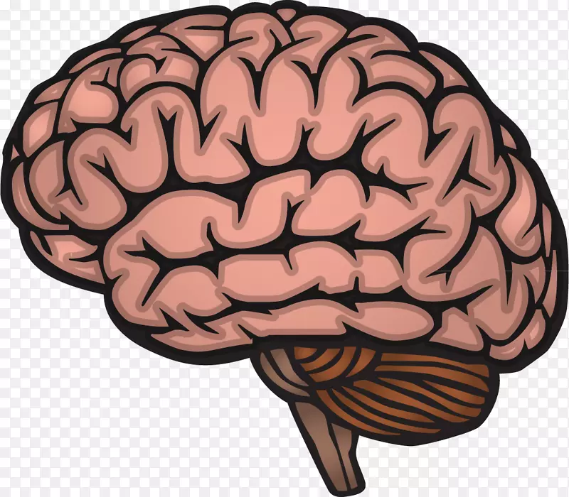 人脑绘图神经系统.脑PNG载体元件