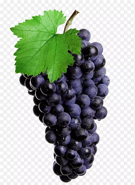 红葡萄酒普通葡萄藤伊莎贝拉汁紫红色葡萄绿叶