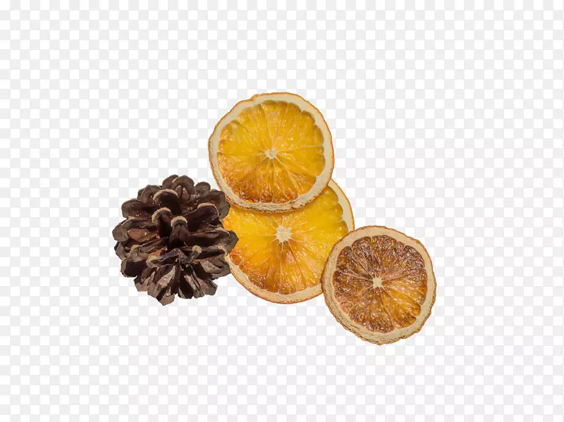 橙柠檬图标-紫锥菊柠檬