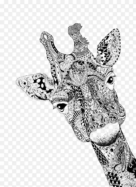 长颈鹿画肖像画素描长颈鹿