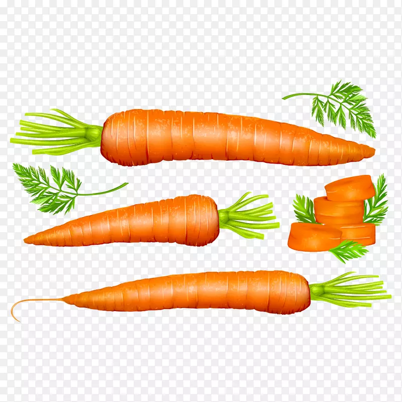 胡萝卜蔬菜载体-胡萝卜