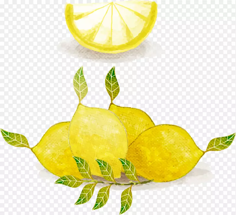 柠檬水水彩画.水彩柠檬