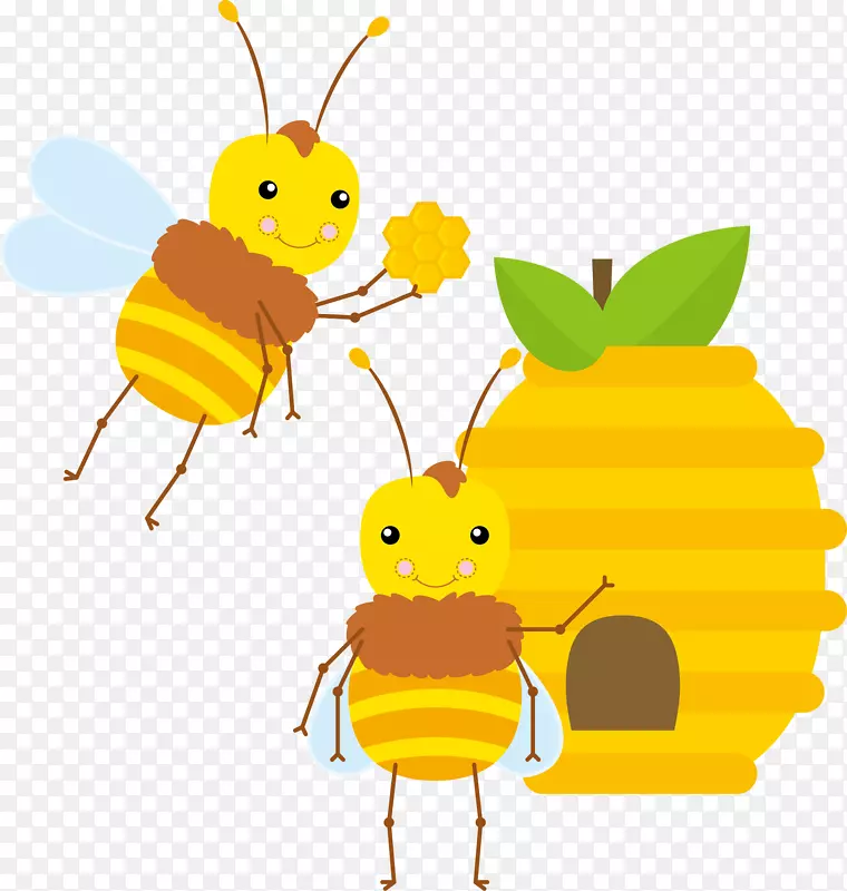 蜜蜂API-蜂巢图-蜂巢马蜂窝