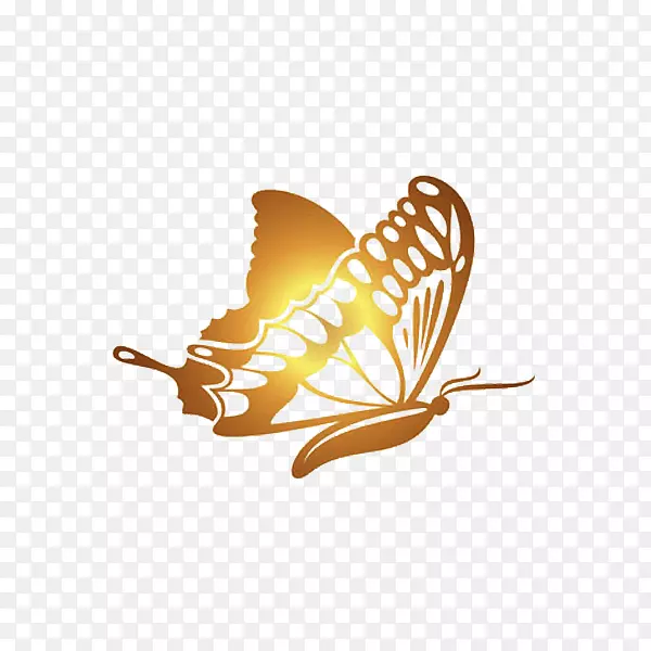 蝴蝶黄金软件-金蝴蝶