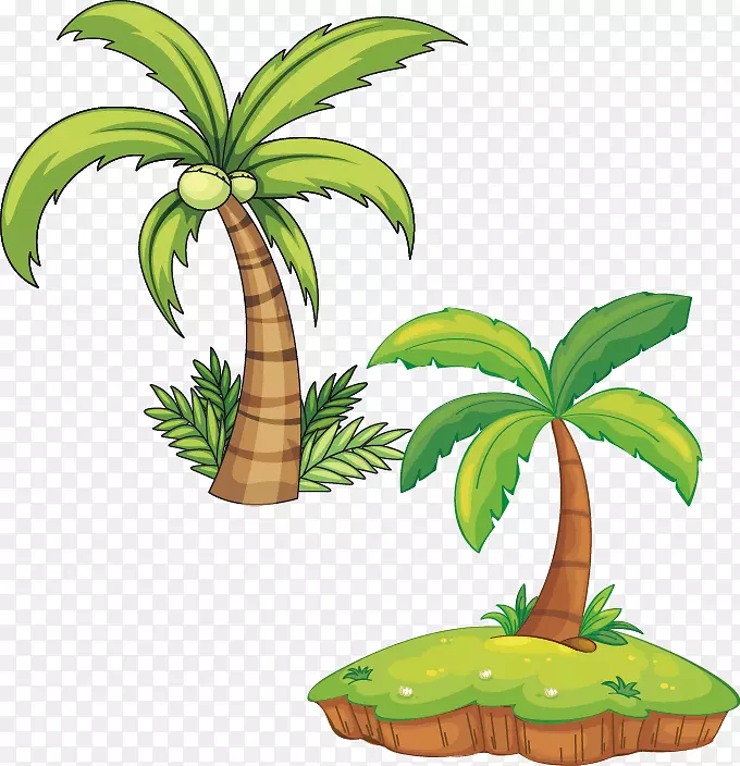 植物版税-无槟榔科插图.海滩树