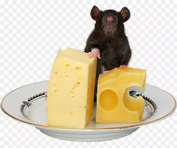 电脑老鼠奶酪捕鼠器-奶酪