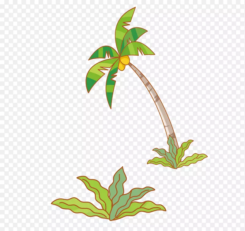 椰子树-植物和椰子树载体材料