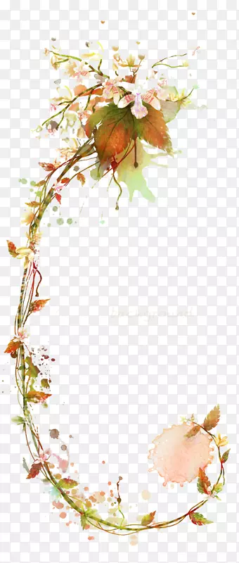 花卉藤本插图-梨树枝条图片材料