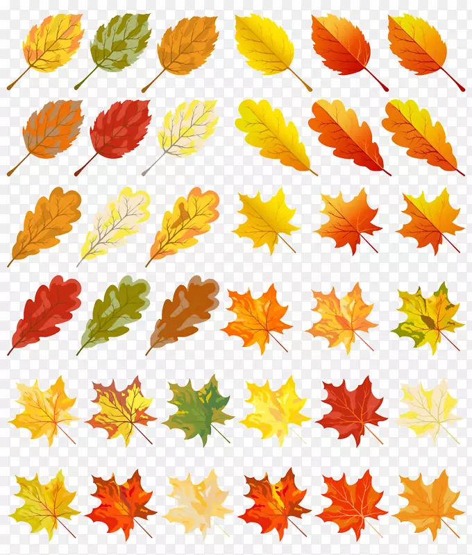 秋叶彩色剪贴画-一组秋叶