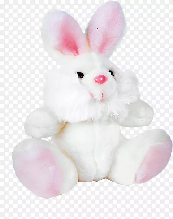 家兔，白兔，复活节兔，欧洲兔-可爱的兔子