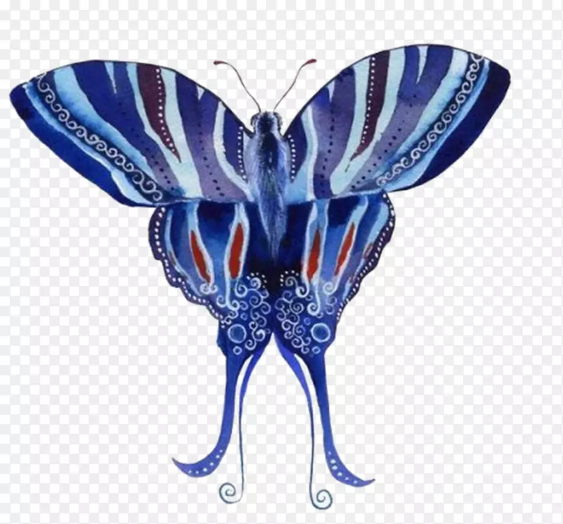 蝴蝶蛾蓝蝶
