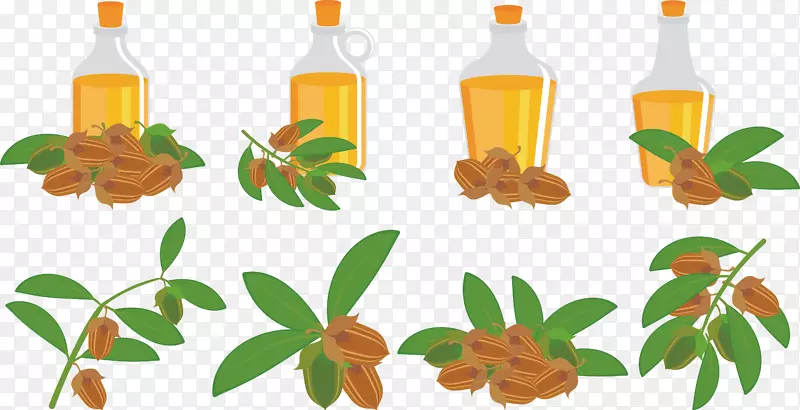 橄榄油瓶-专用橄榄油
