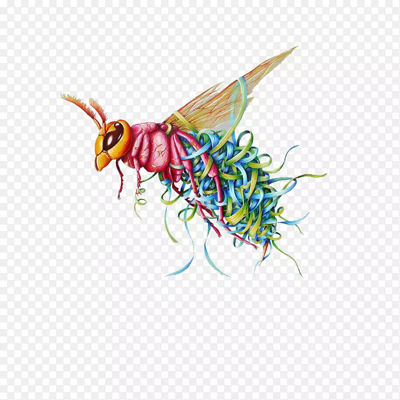 蝗虫-昆虫