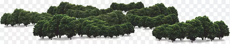 堆下载-绿草