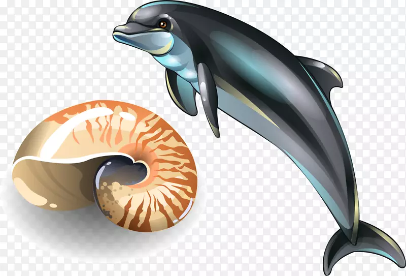 海贝壳画贝类王权-无海豚png元素