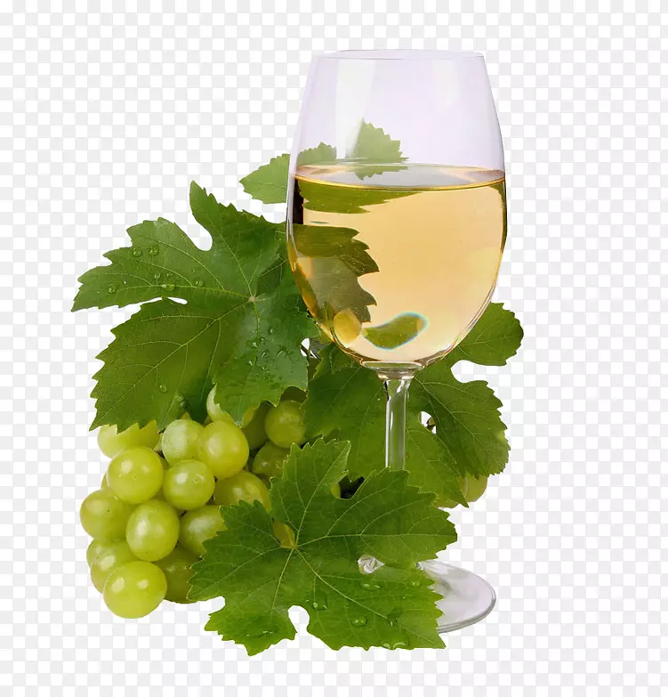 坎塔布里亚海相册葡萄酒果酱-葡萄酒