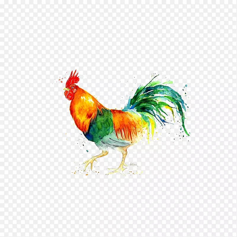 鸡水彩：动物水彩画公鸡水彩动物鸡