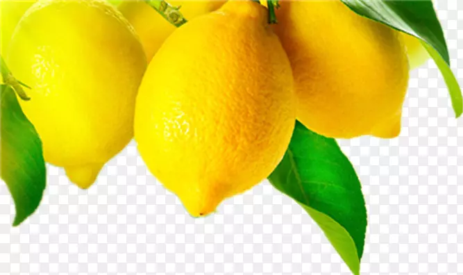 葡萄柚汁梅耶柠檬果树黄色葡萄柚