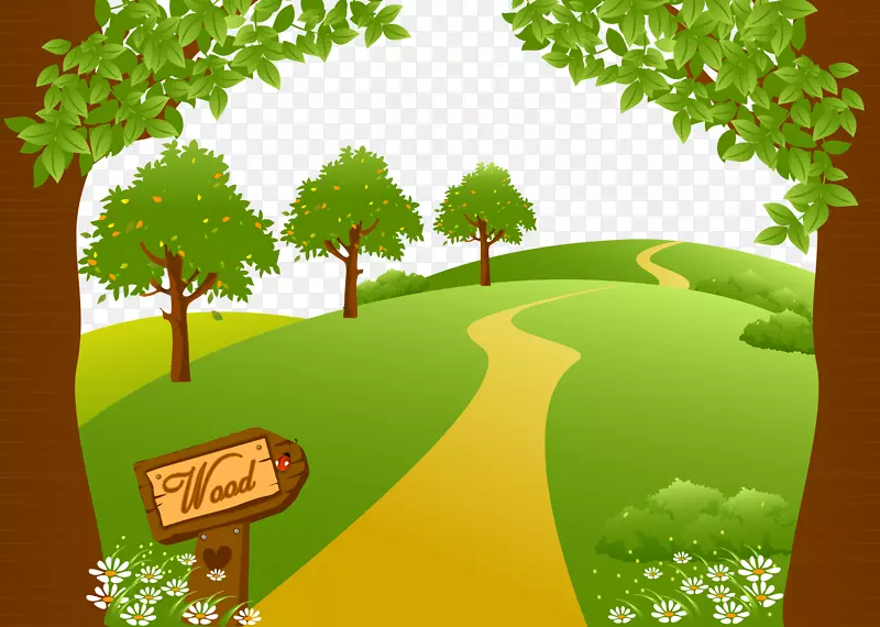 绘制景观插图-绿色森林道路