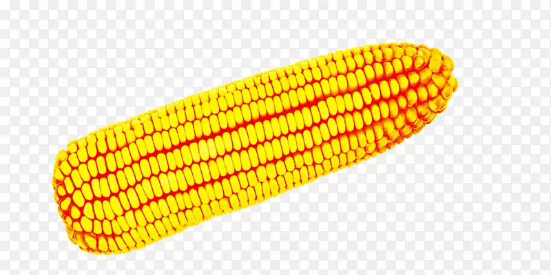 玉米上的玉米下载图标-玉米