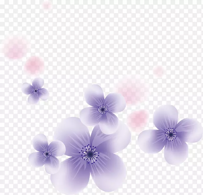 花瓣紫色花