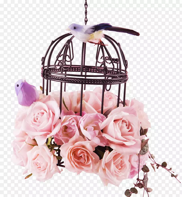 鸟笼花玫瑰-情人节鲜花装饰