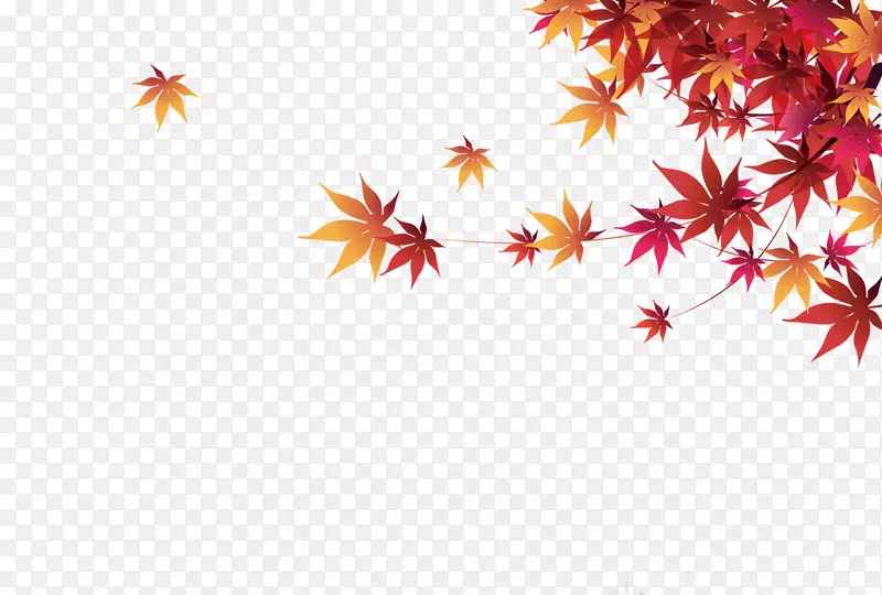 秋季枫叶