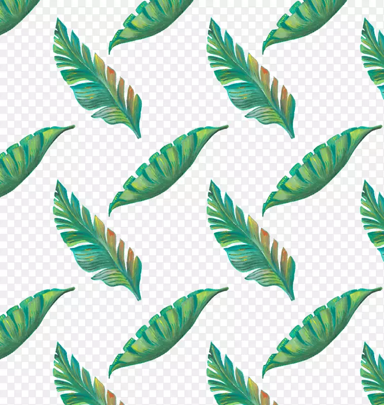 热带叶图.手绘绿色热带树叶图案
