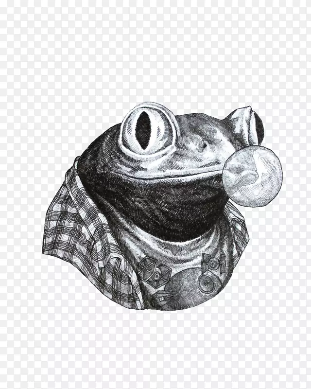 青蛙绘图插画.草图气泡青蛙插图
