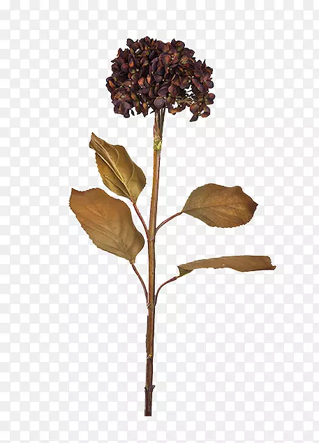 花卉图按钮-干花扣减按钮