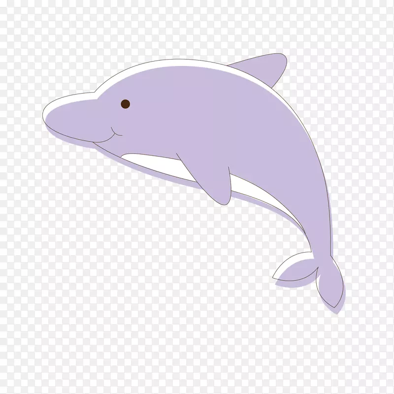 图库溪普通宽吻海豚旋涡海豚-紫色海豚载体材料