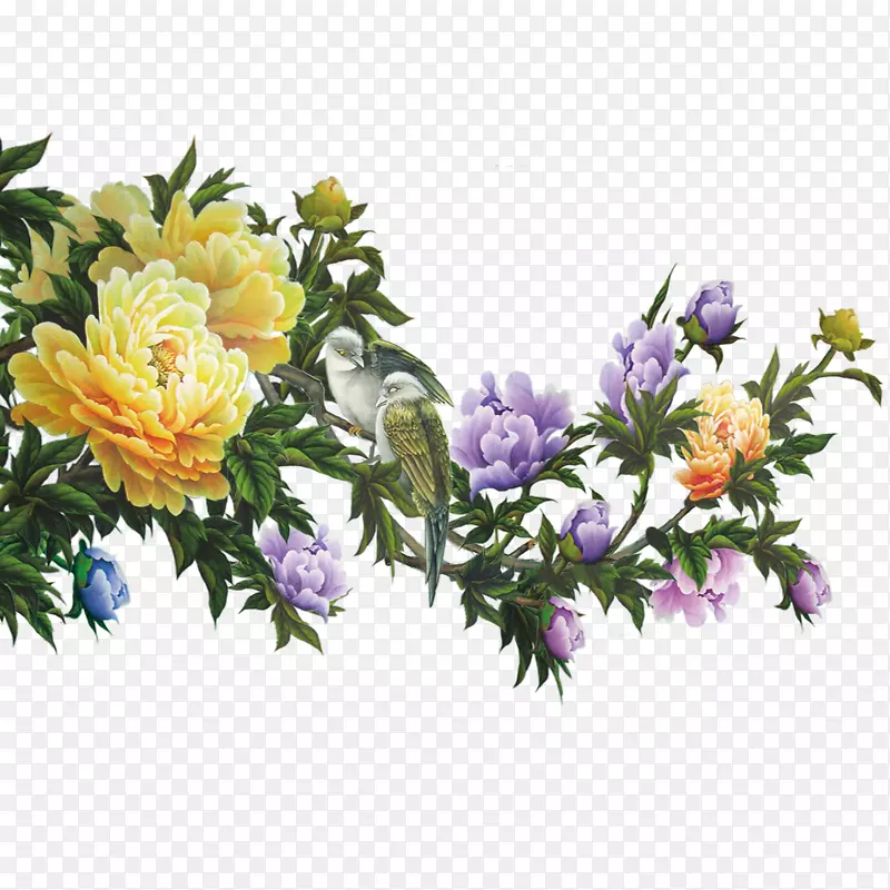 水彩画花卉设计-牡丹