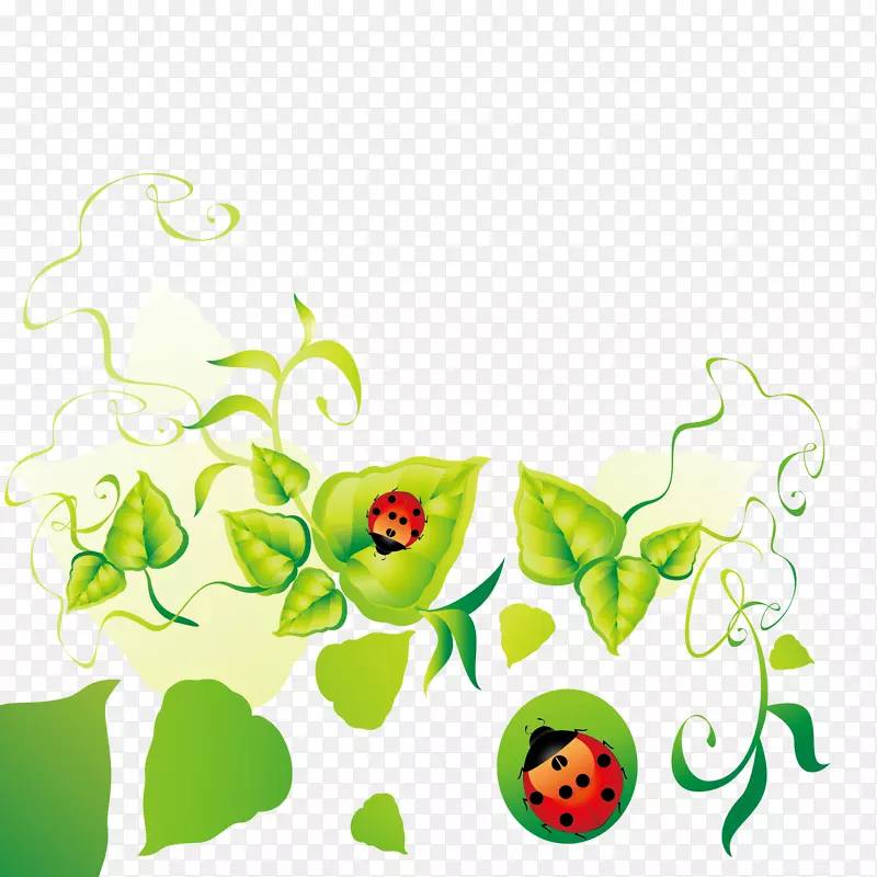 花卉设计叶夹艺术.瓢虫绿叶露珠装饰边缘材料