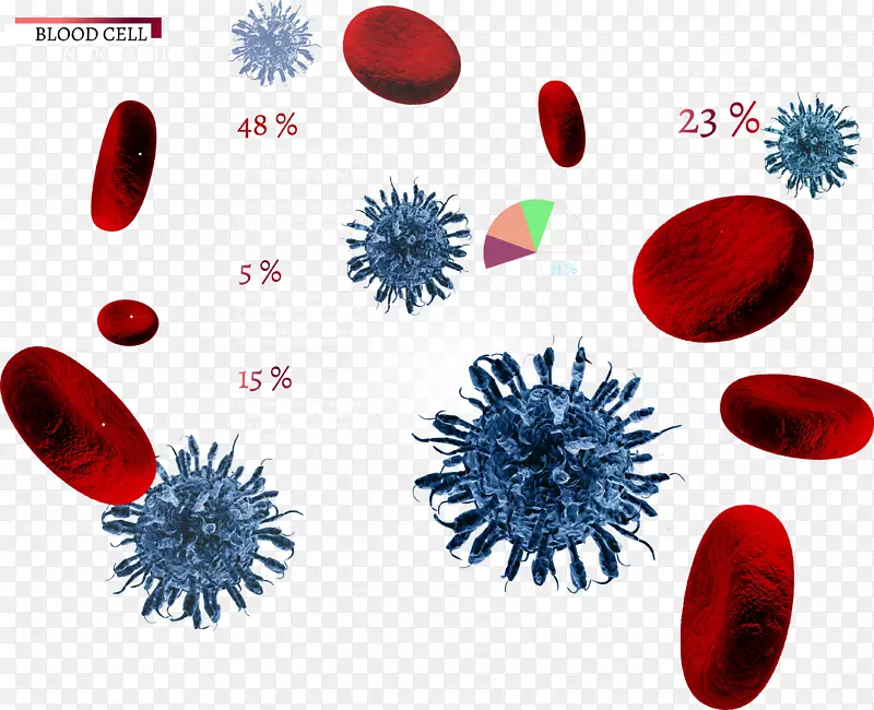 红细胞欧式载体-载体红细胞