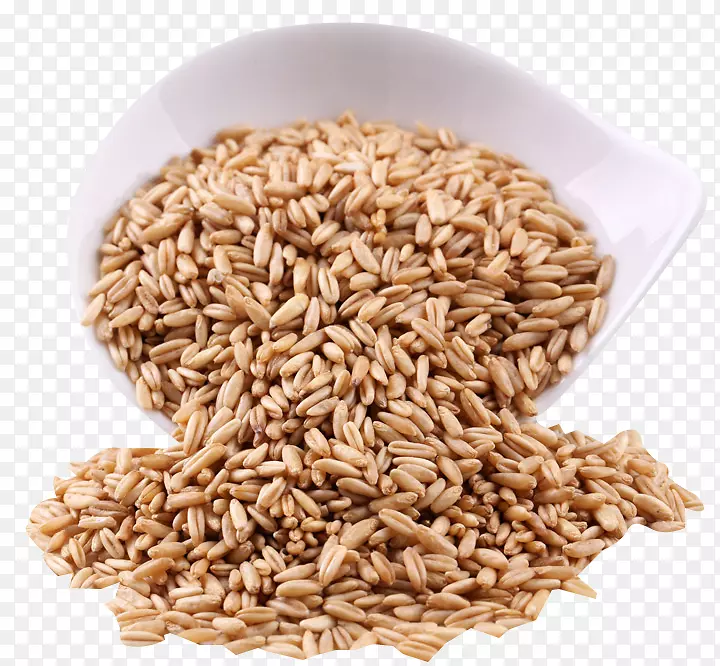燕麦有机食品大米谷类料理全麦燕麦珍珠大麦免拔料