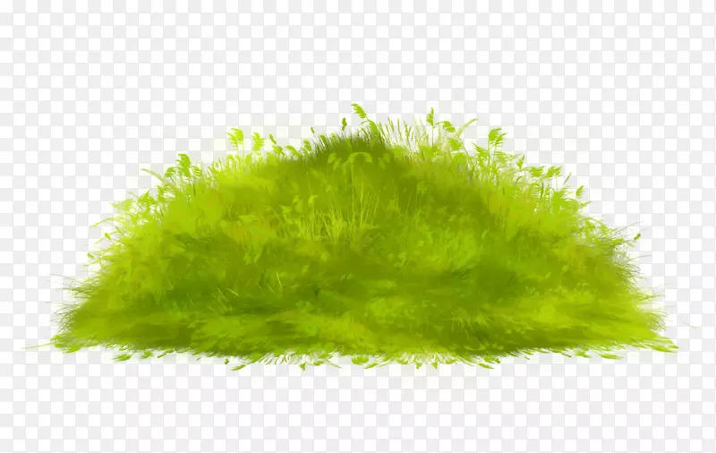 草绿草