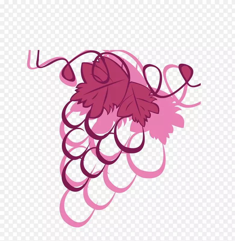 Kyoho葡萄酒葡萄-粉红色一束葡萄果实