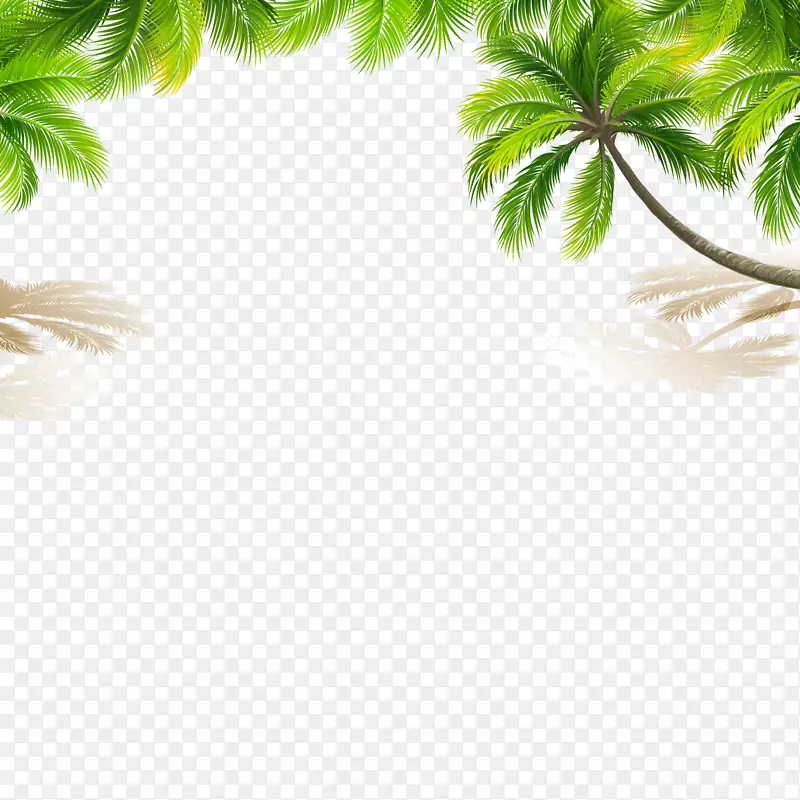 彩色唇膏-椰子树