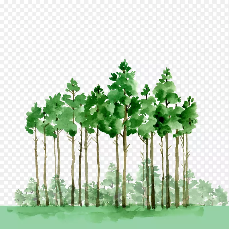 水彩画油画素描绿色森林