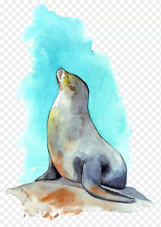 海狮水彩画.印章