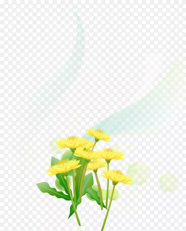 黄色壁纸.黄色菊花装饰图案材料