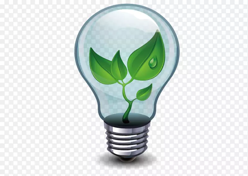 新科技生物能源有限公司-载体灯泡