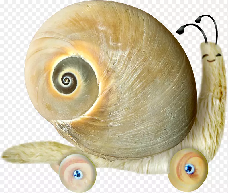 蜗牛燕德搜索夹艺术-蜗牛