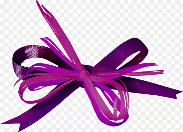紫带蝴蝶结