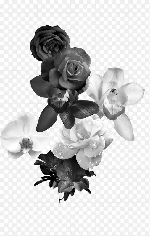 黑白花黑白摄影-黑白玫瑰