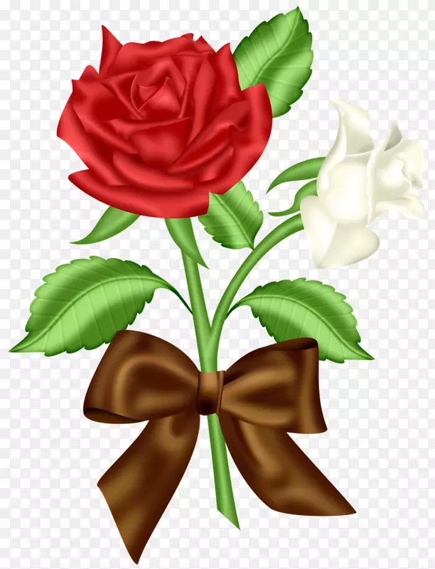 蓝色玫瑰插花艺术-一朵红玫瑰和一朵白玫瑰