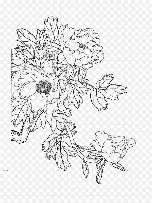 牡丹下载花卉设计-牡丹画线